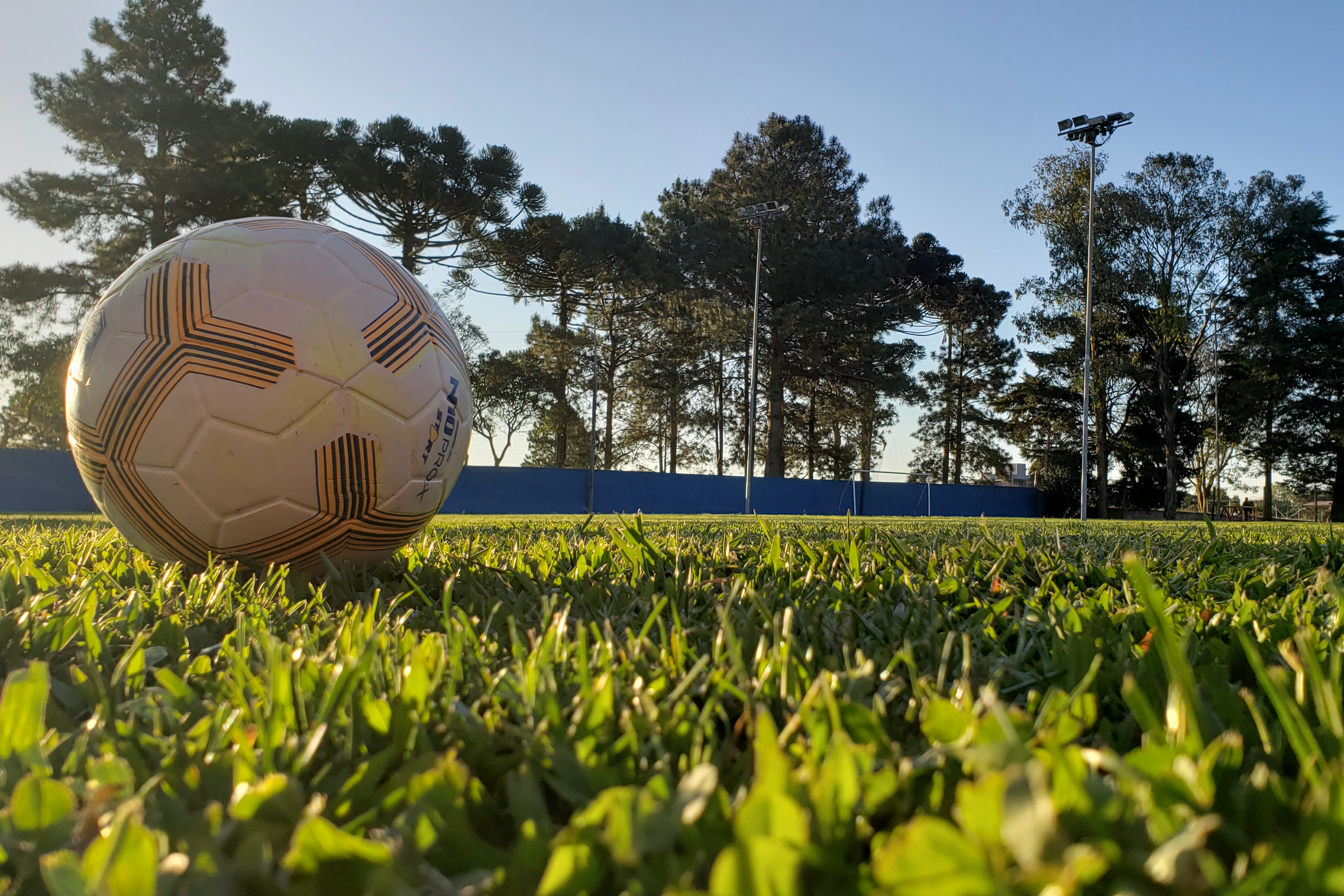 campo fut